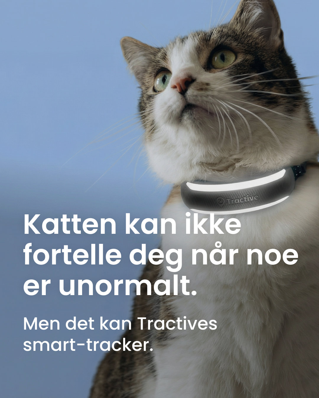 Tractive Facebook ad