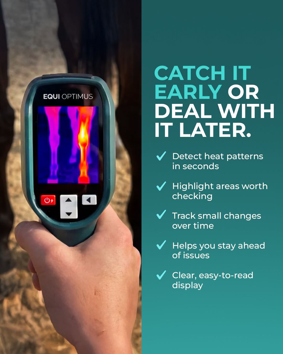 Chevaroo Facebook ad