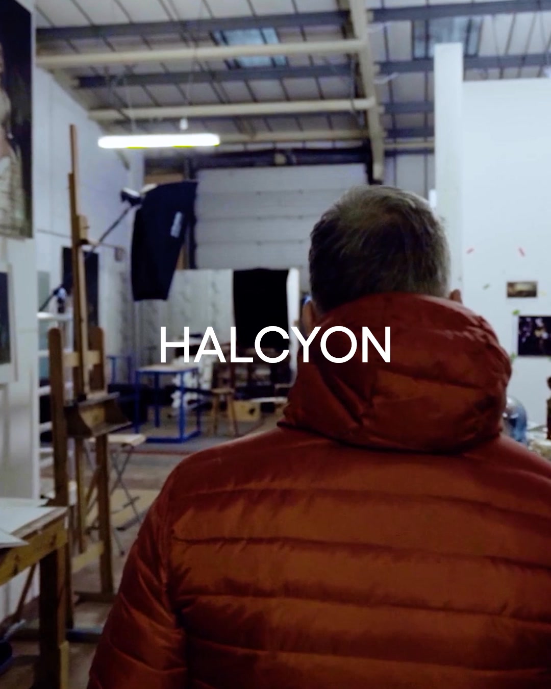 Halcyon Gallery Facebook ad: Discover Contemporary Artists