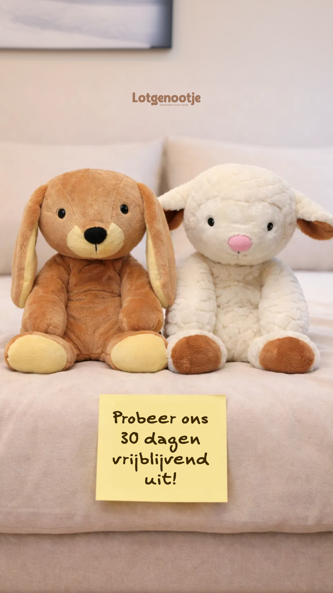 Marien Jansen Facebook ad from Feb 17, 2026