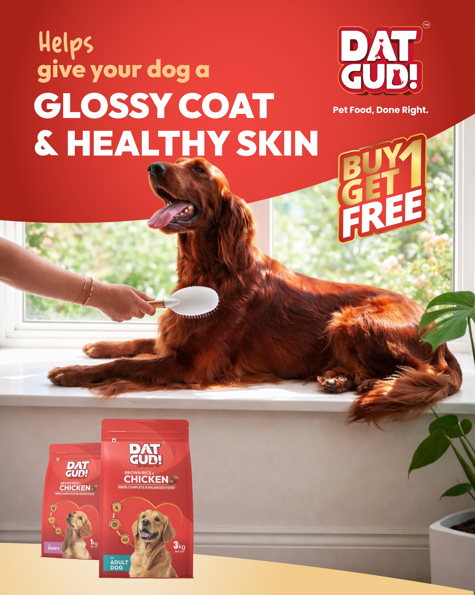 DatGud Facebook ad