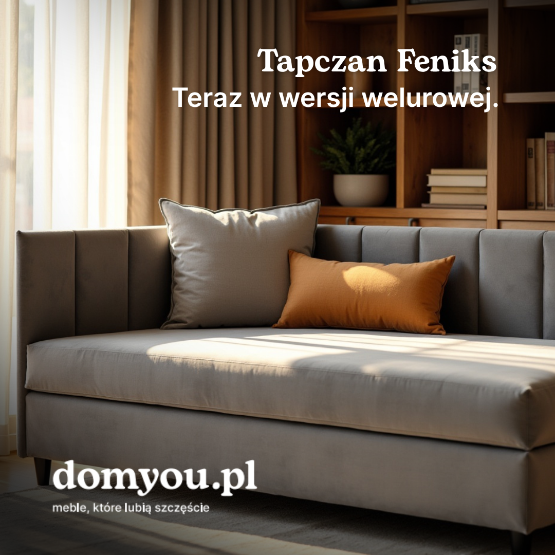 Domyou Facebook ad