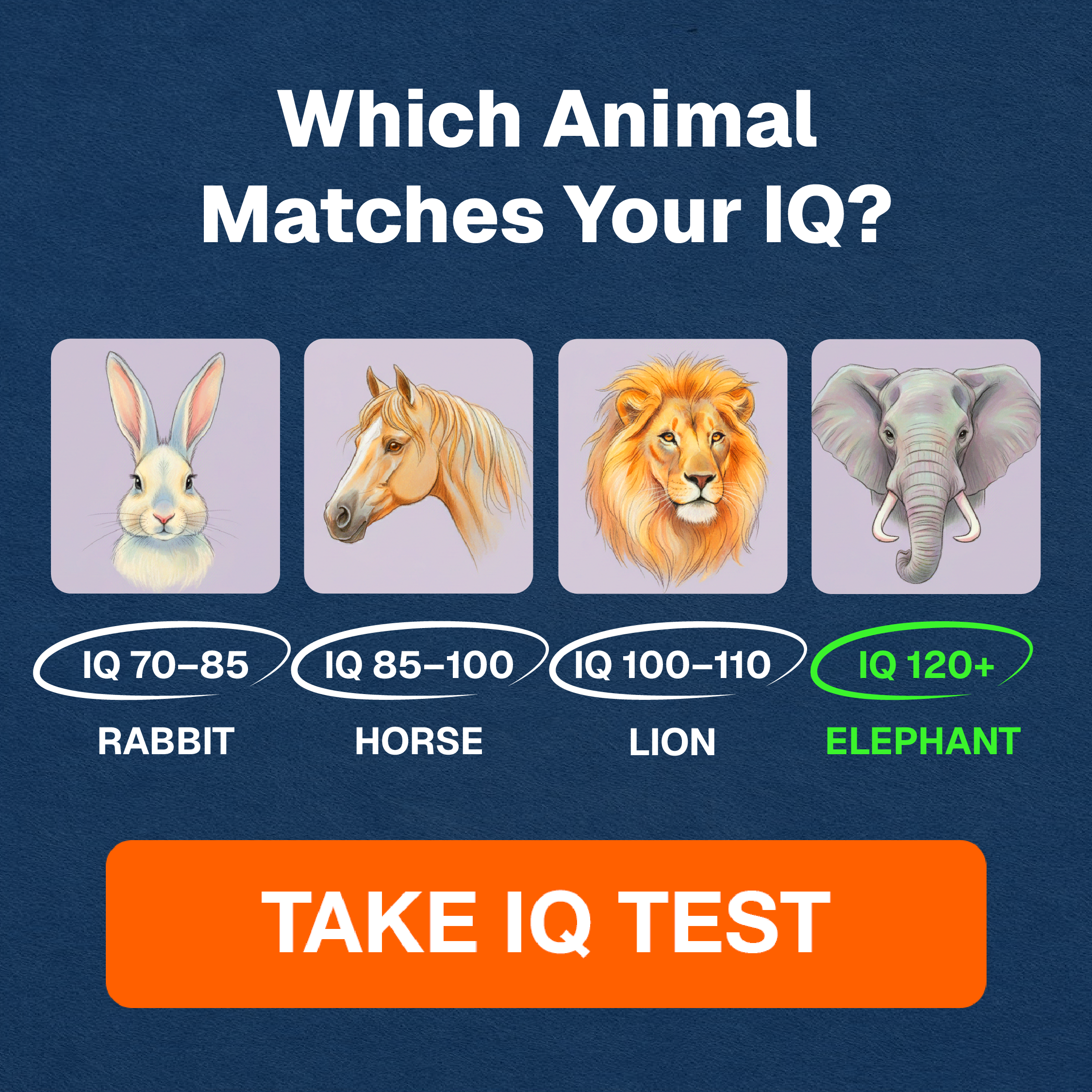 My IQ Facebook ad