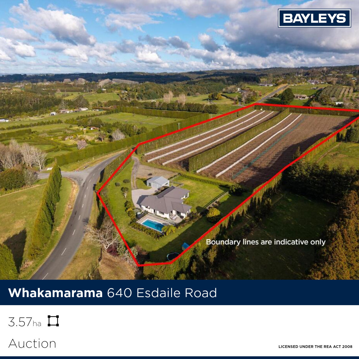 Bayleys Tauranga Facebook ad: Productive SunGold and quality living