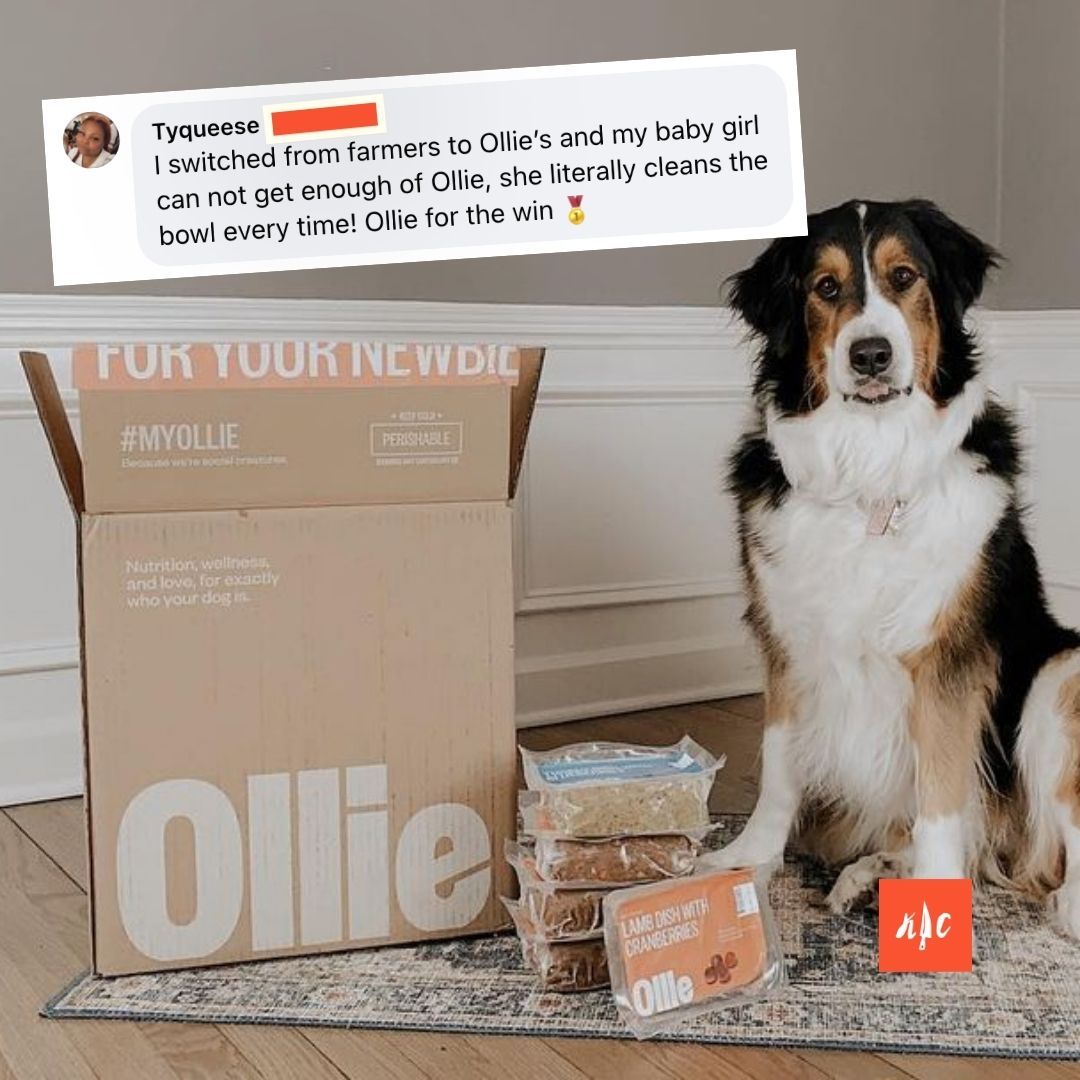 Kitchen Critic Facebook ad