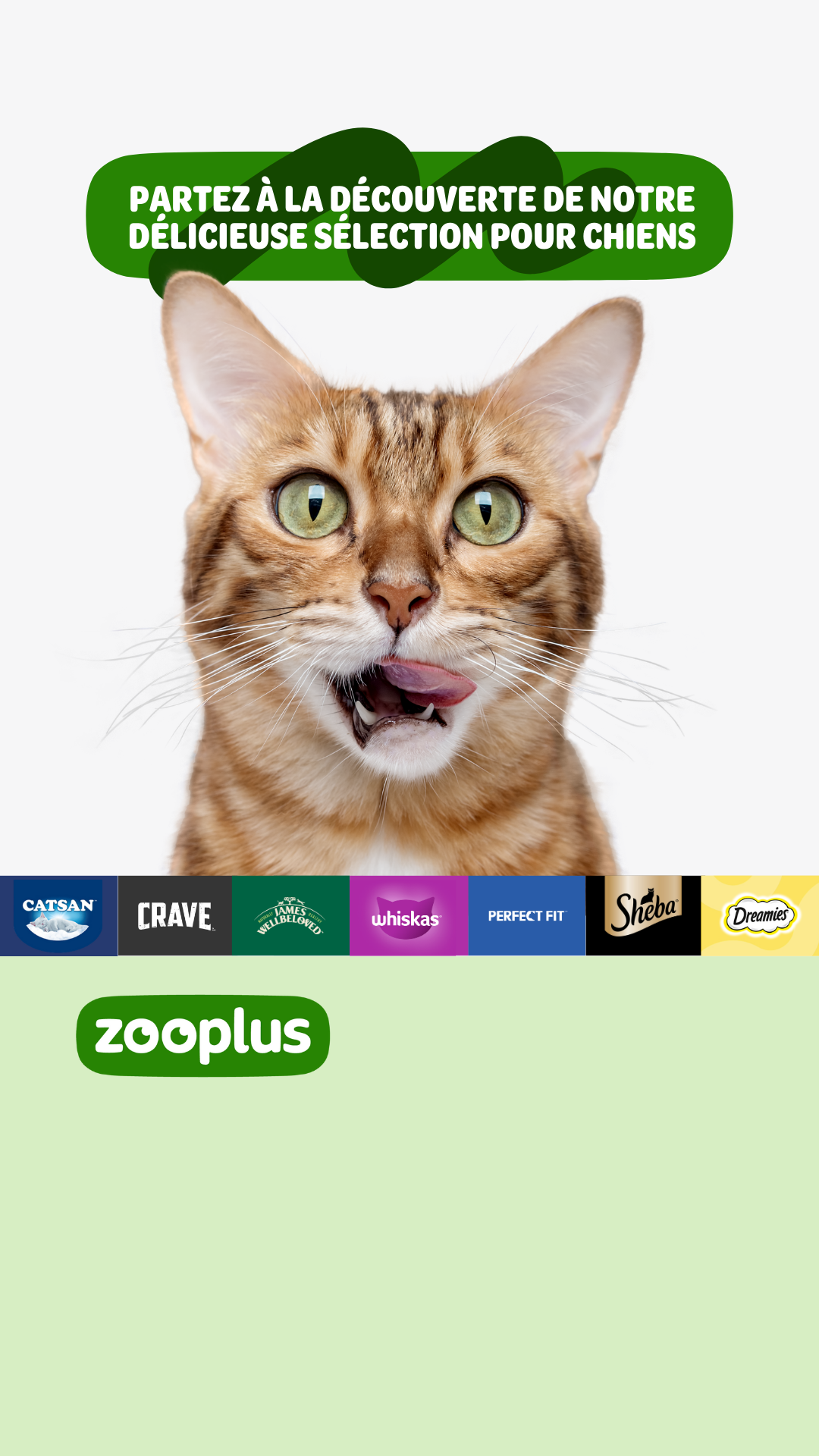 zooplus Facebook ad