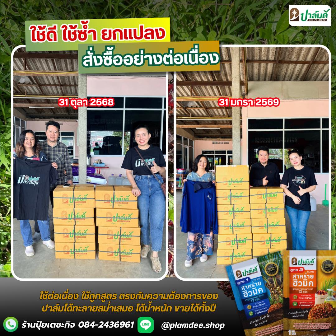 ร้านปุ๋ยเตชะกิจ - หมวยปาล์มดี จำหน่ายปุ๋ยปาล์มดีจากโรงงาน 084-2436961 Facebook ad