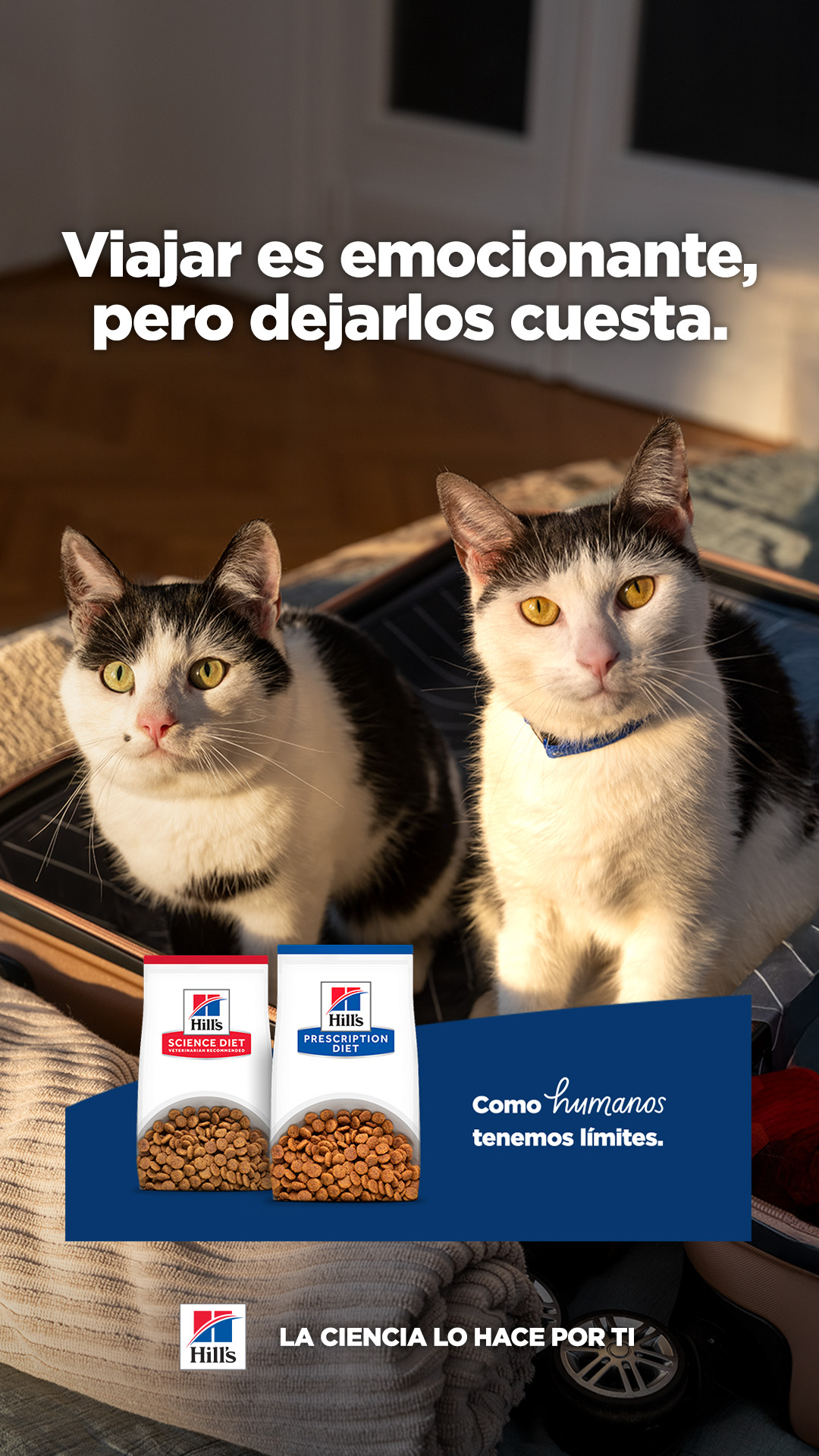 Hill's Pet Colombia Facebook ad