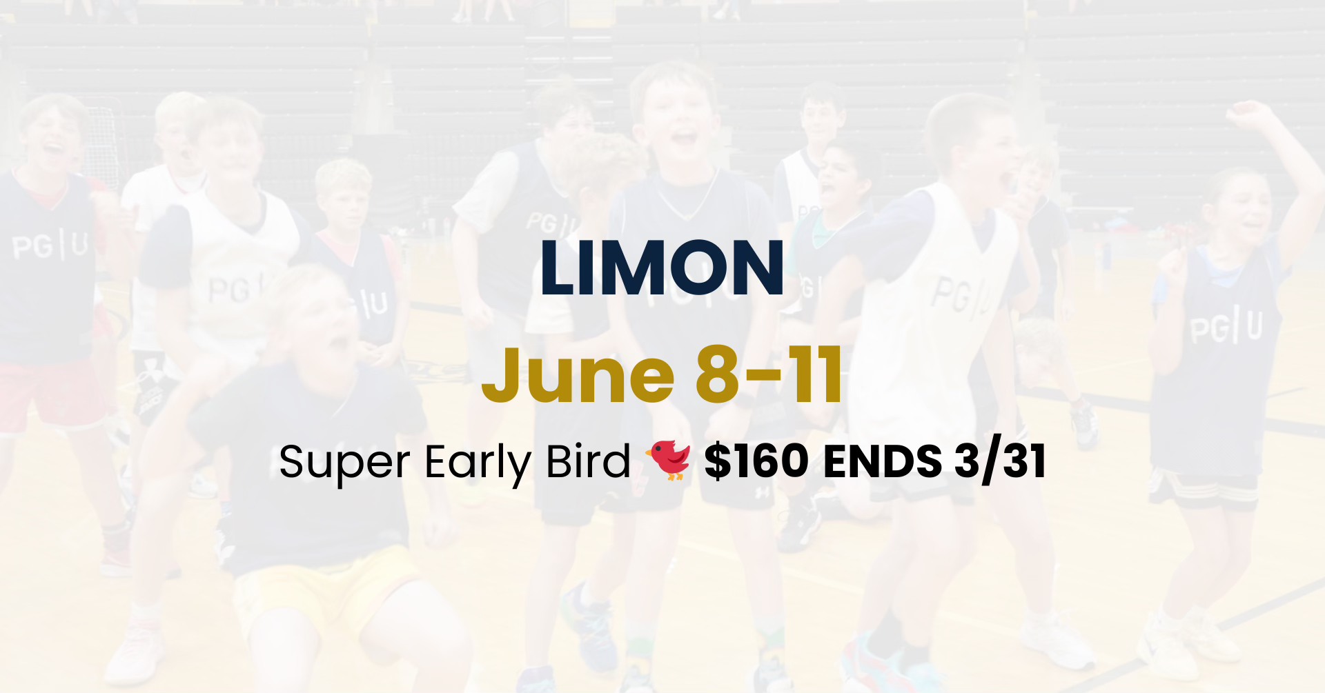 Point Guard University Facebook ad: Limon Summer Basketball Camp