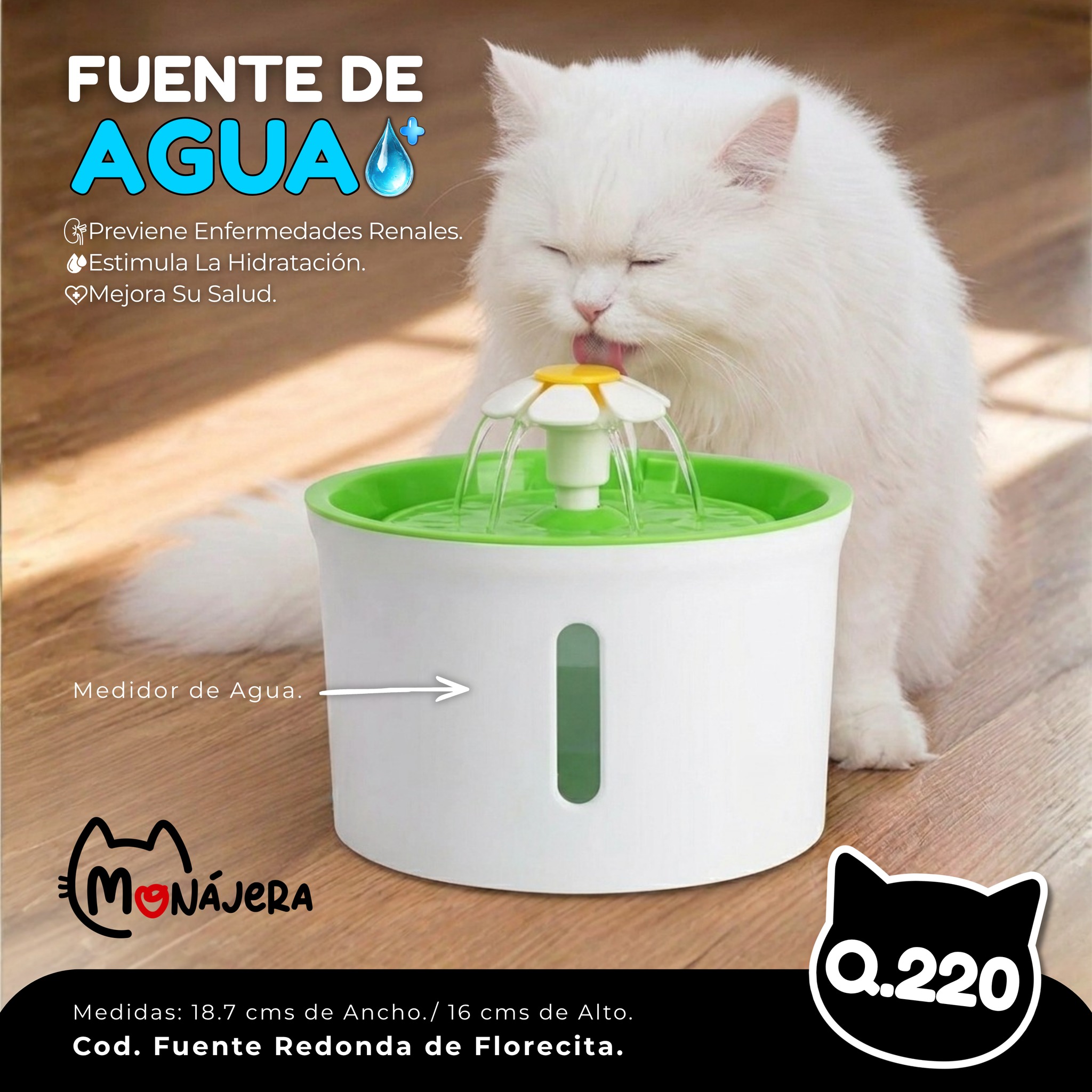 Monájera Facebook ad
