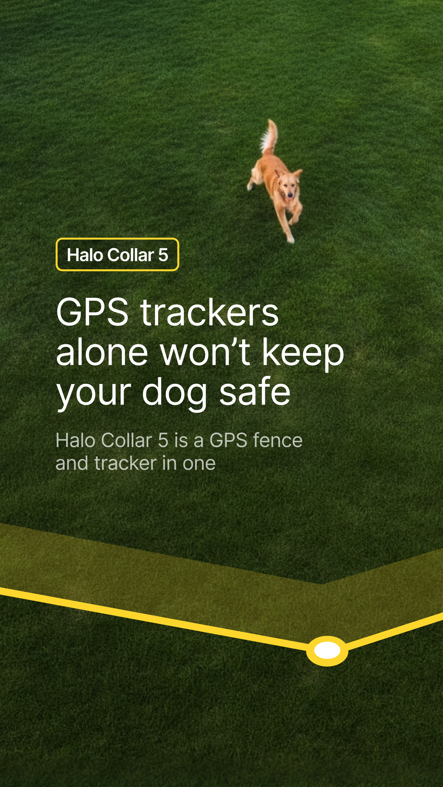 Halo Collar Facebook ad
