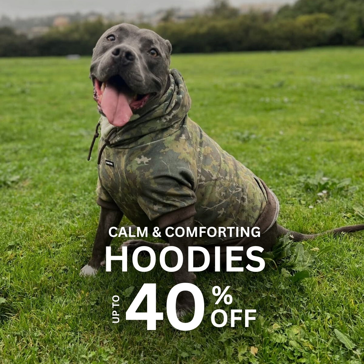Spark Paws Facebook ad