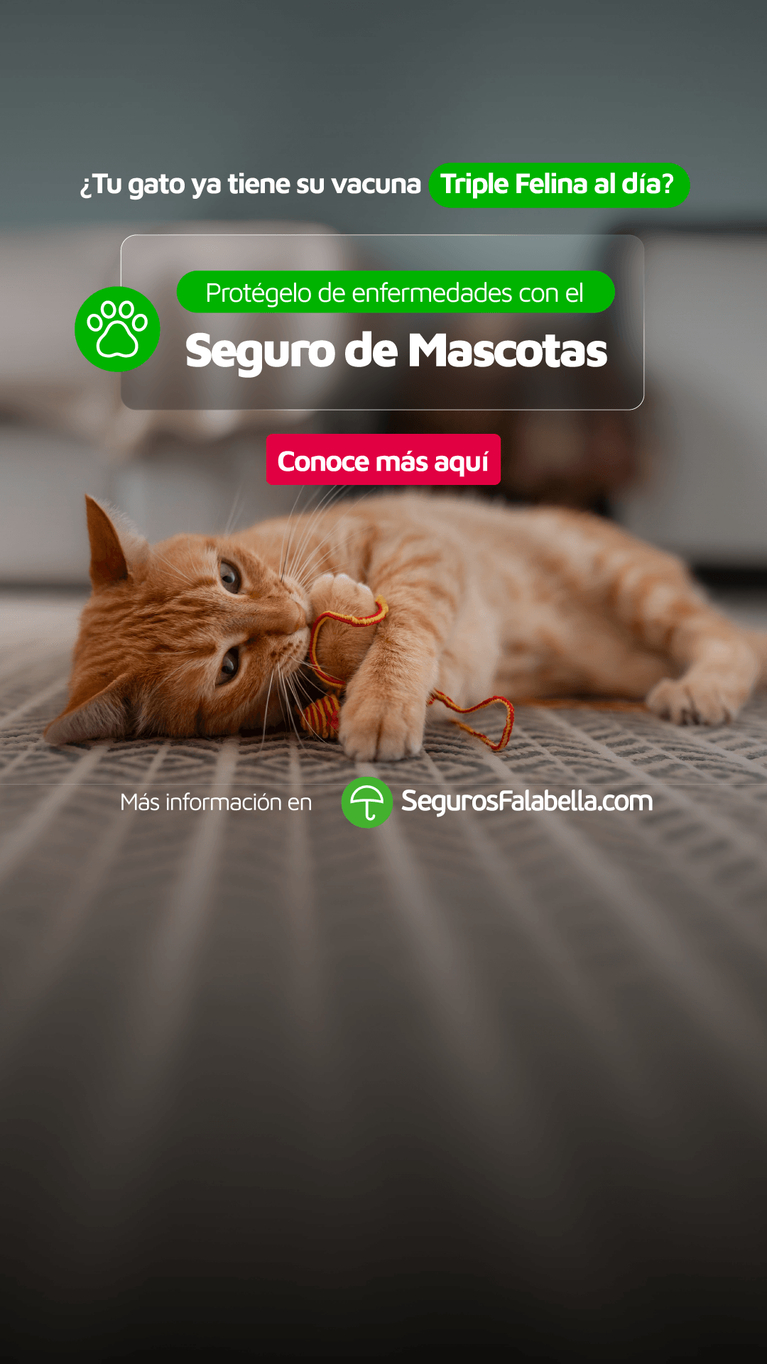 Seguros Falabella Chile Facebook ad