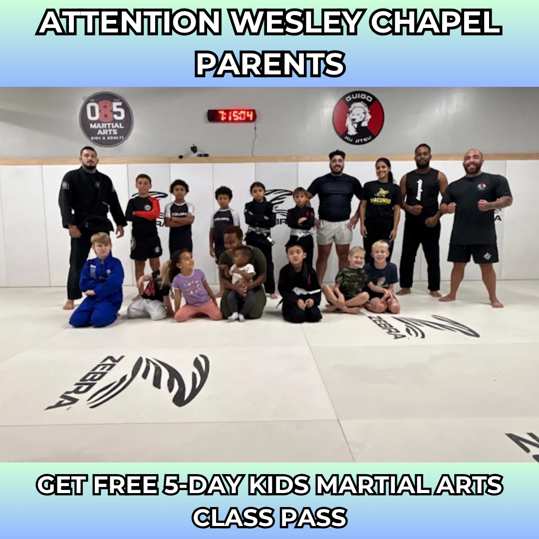 085 Brazilian Jiu Jitsu Facebook ad: Want a FREE 5-Day, Kids Martial Arts Class Pass?