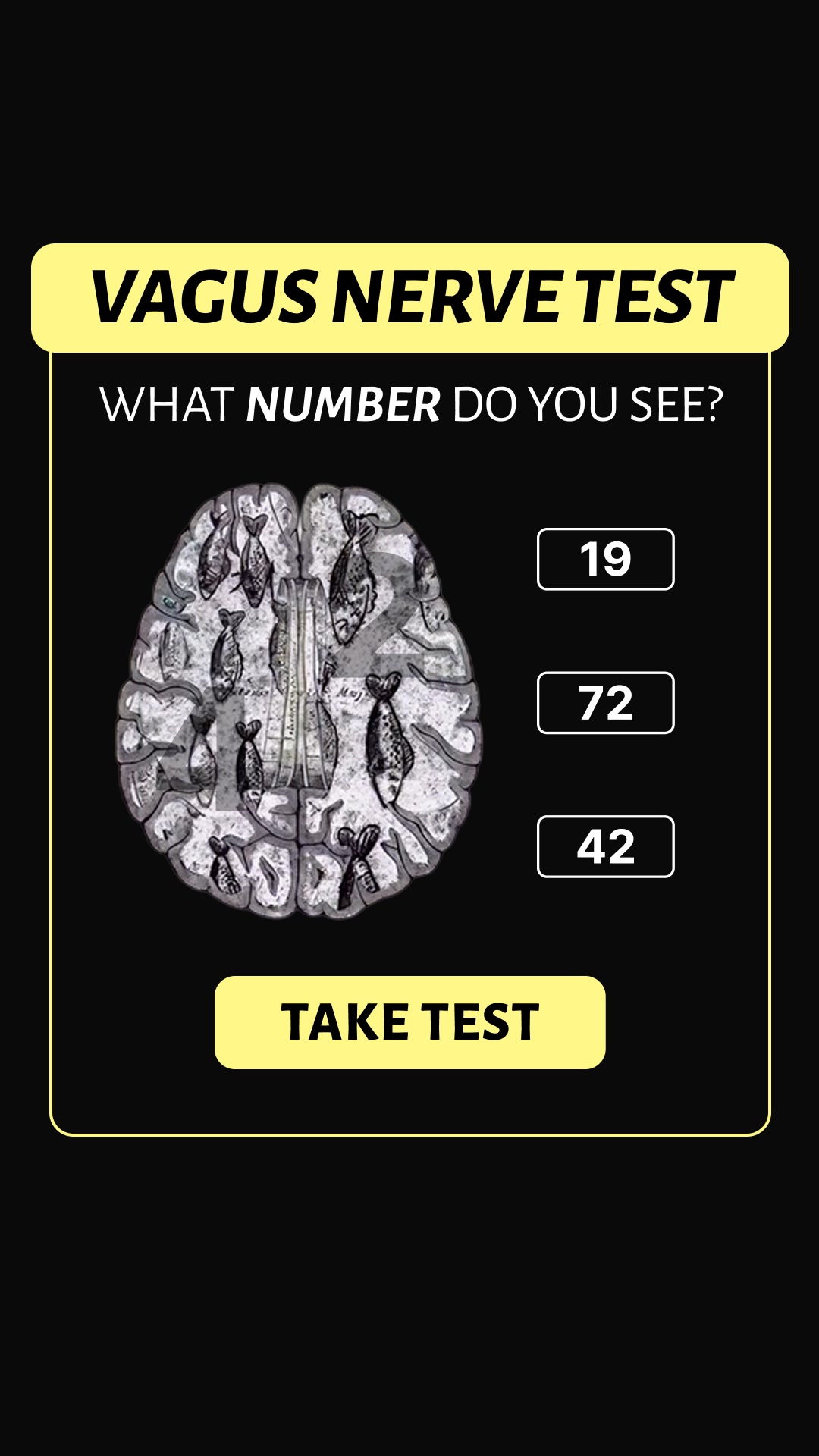 Your Mind Clarity Test Facebook ad: So what are your nervous system triggers?