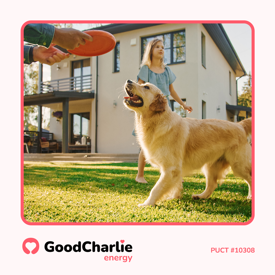 GoodCharlie Energy Facebook ad: Switch to a different breed of electricity provider…