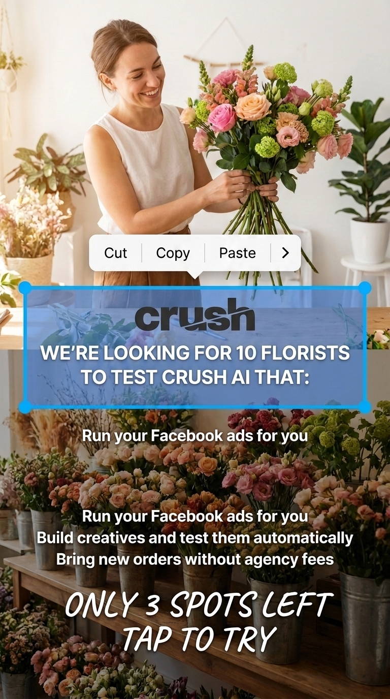 trycrush.ai Facebook ad