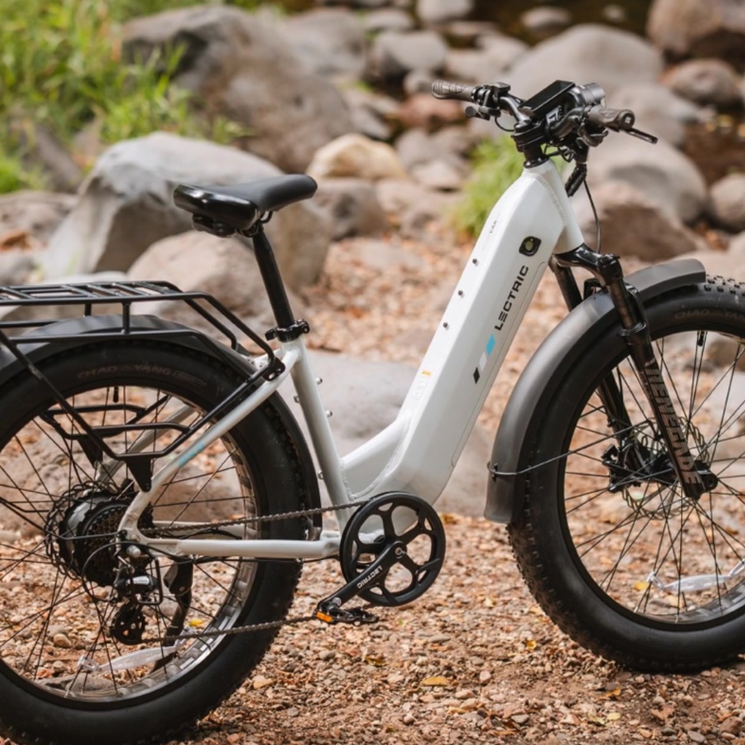 Lectric eBikes Facebook ad