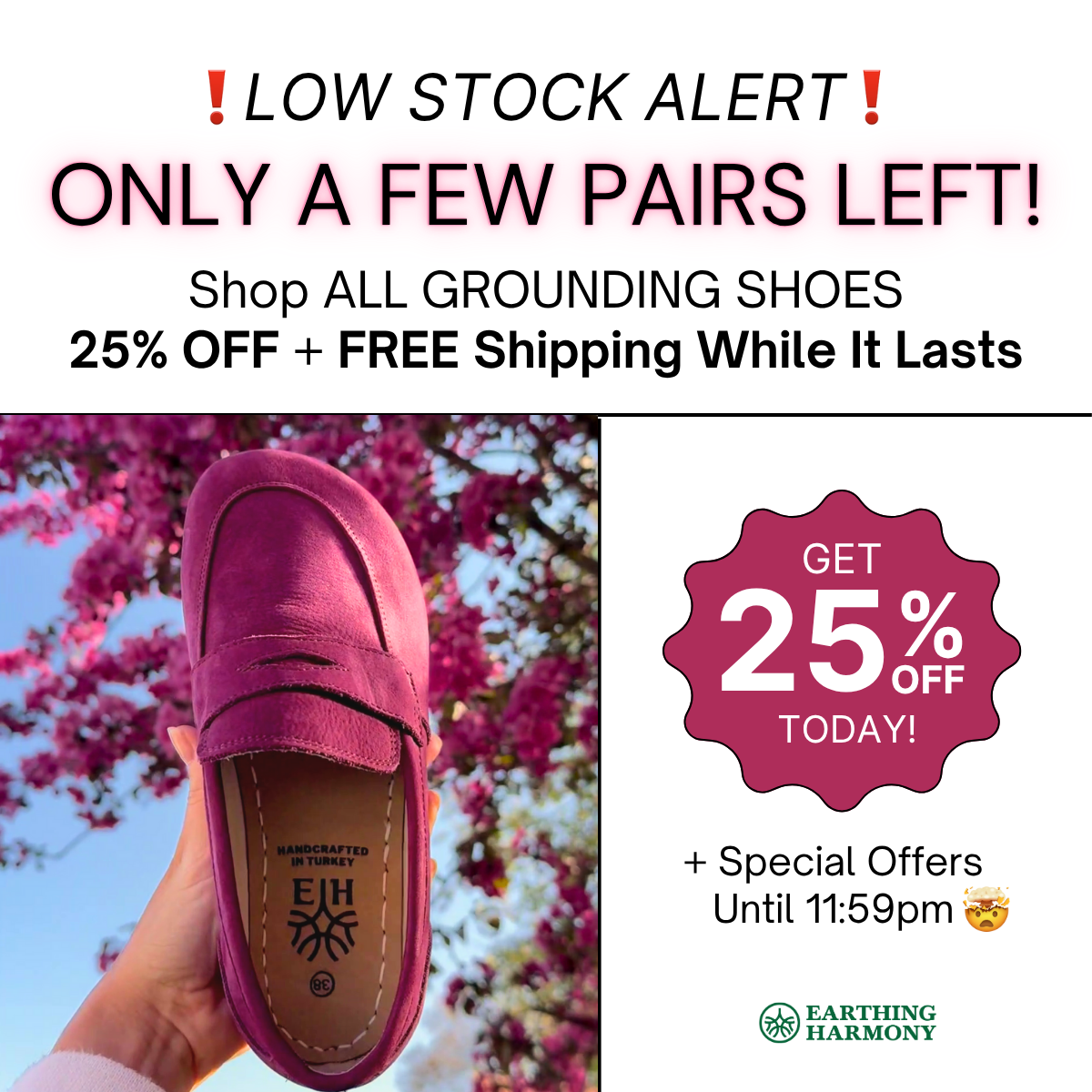 Earthing Harmony Facebook ad
