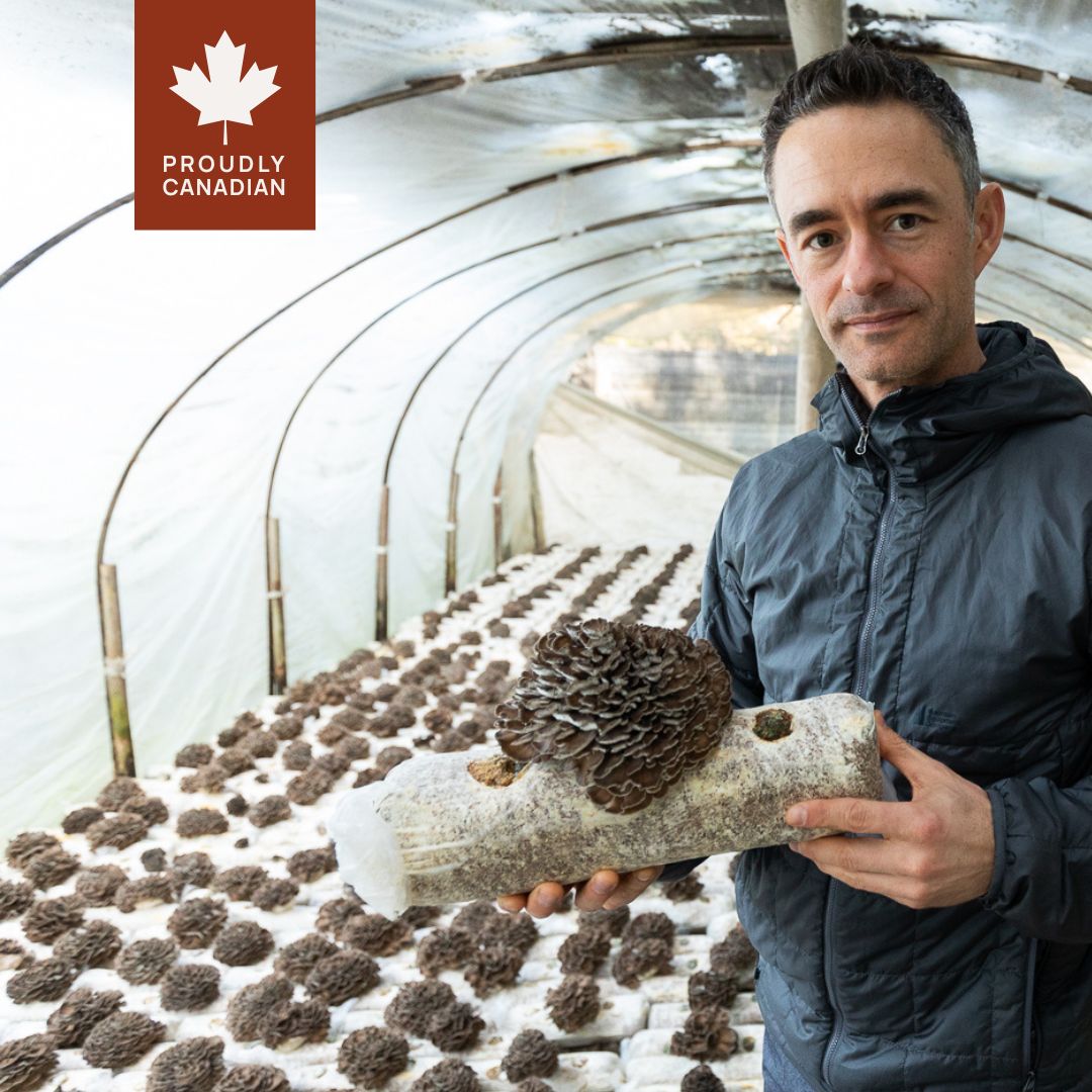 Real Mushrooms Facebook ad