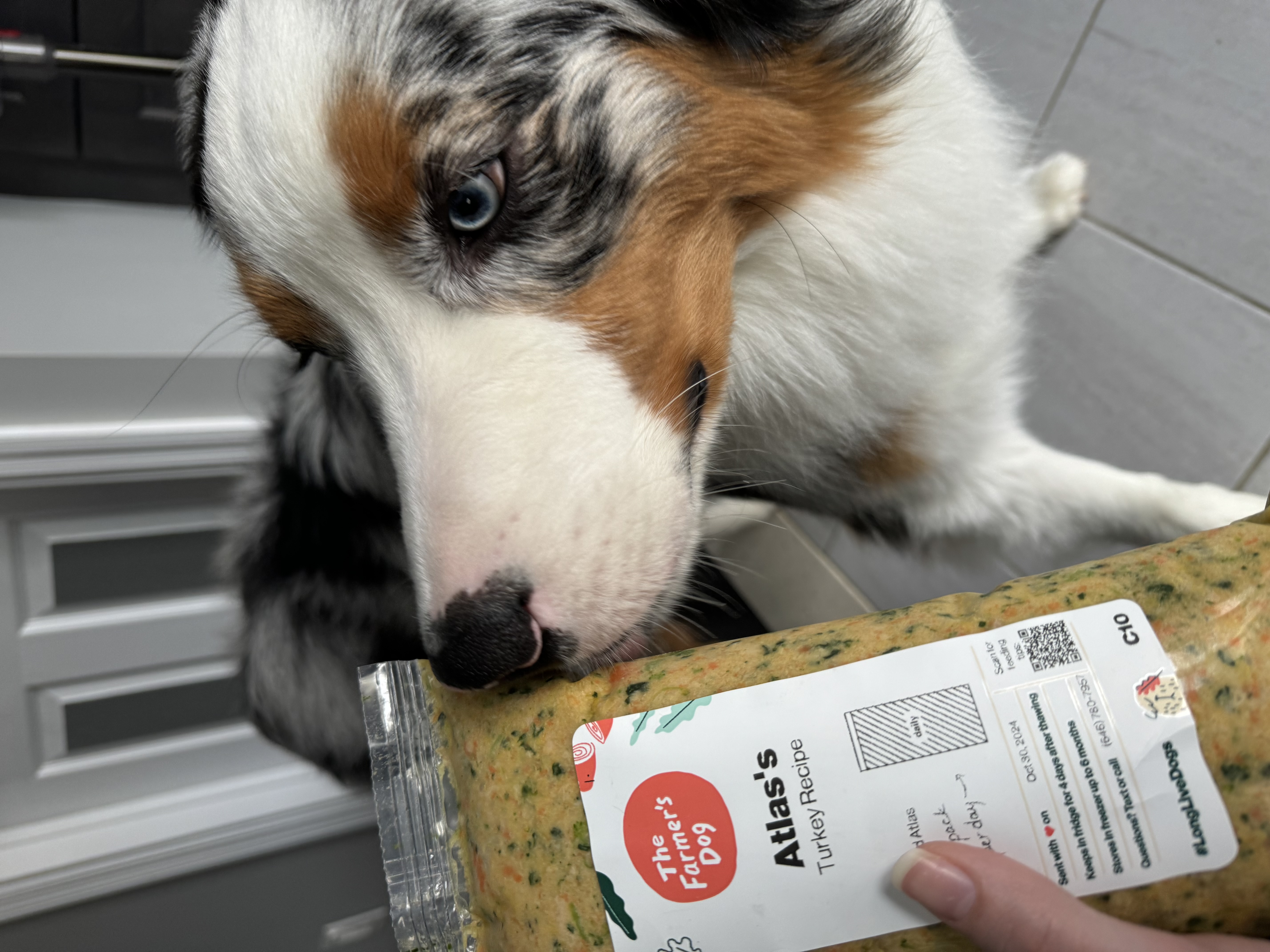 The Farmer's Dog Facebook ad