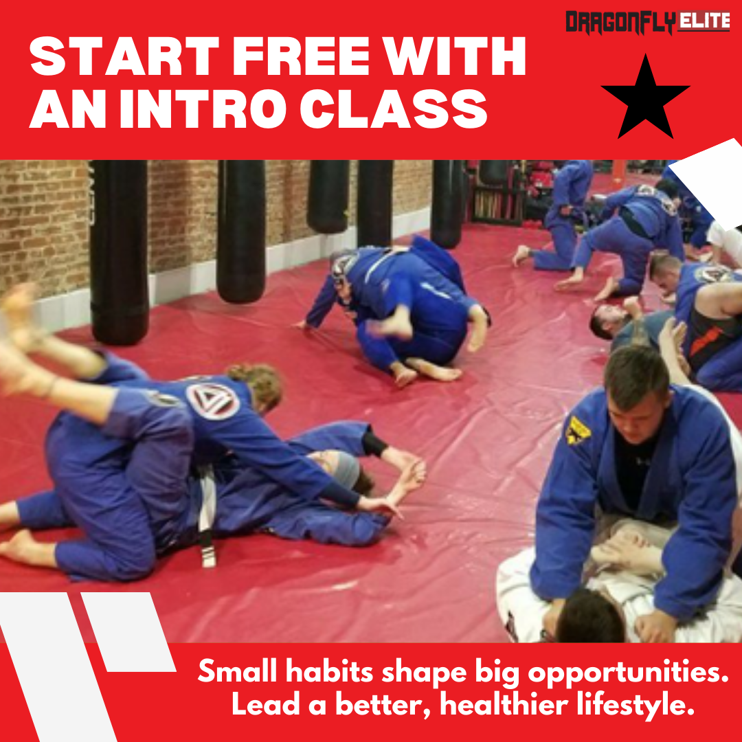 Dragonfly Martial Arts & Fitness Academy Facebook ad: Join Our Jiu Jitsu Program