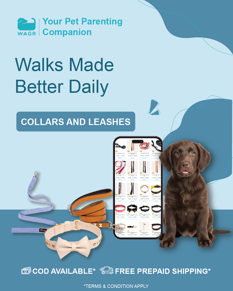 Wagr Facebook ad