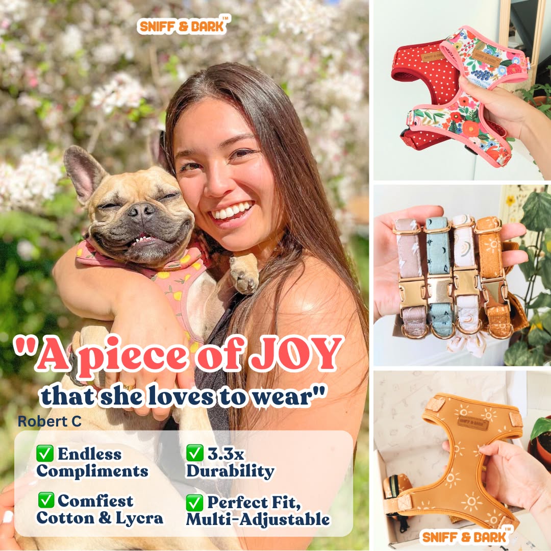 Sniff & Bark Facebook ad