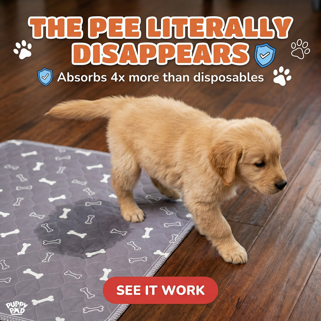 PuppyPad Facebook ad