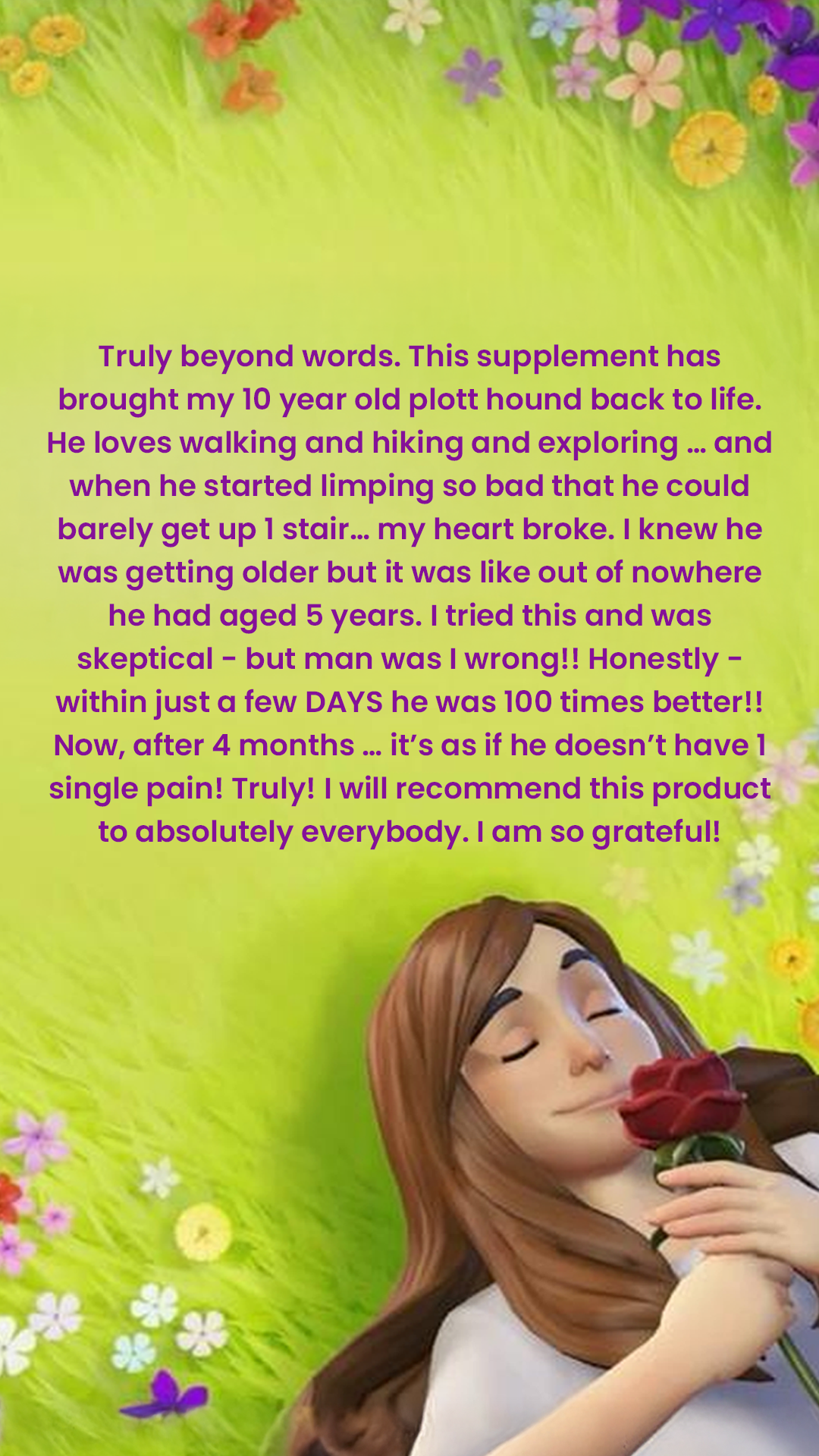 Wuffes Facebook ad