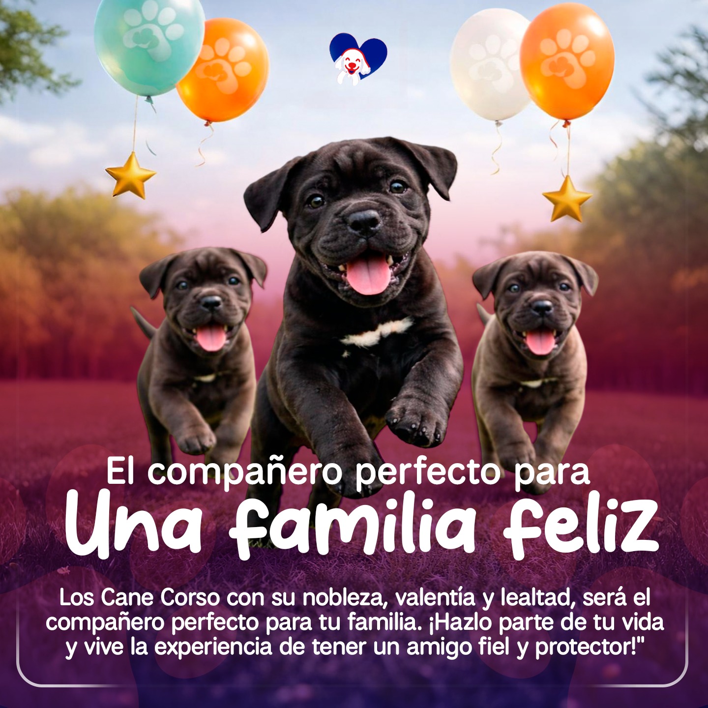 Pet Lovers Perú Facebook ad: Consulta Disponibilidad