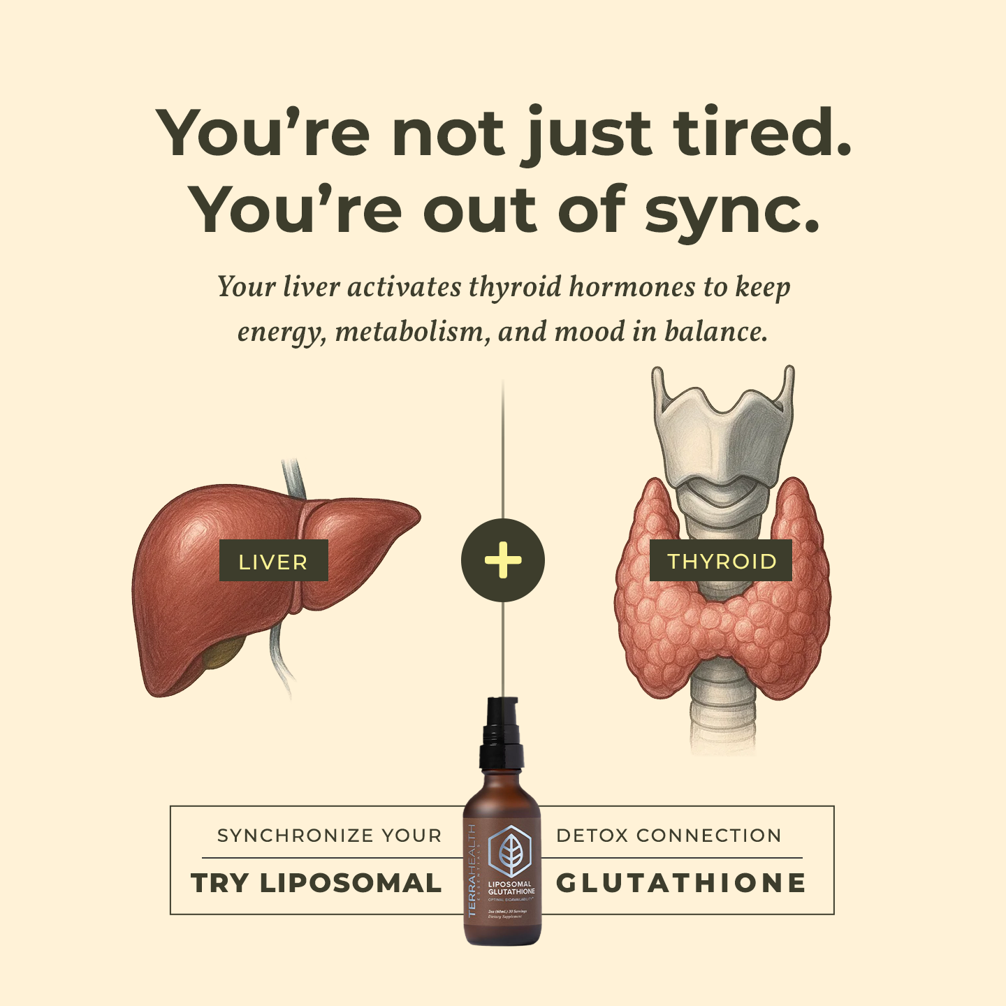 Terra Health Essentials Facebook ad