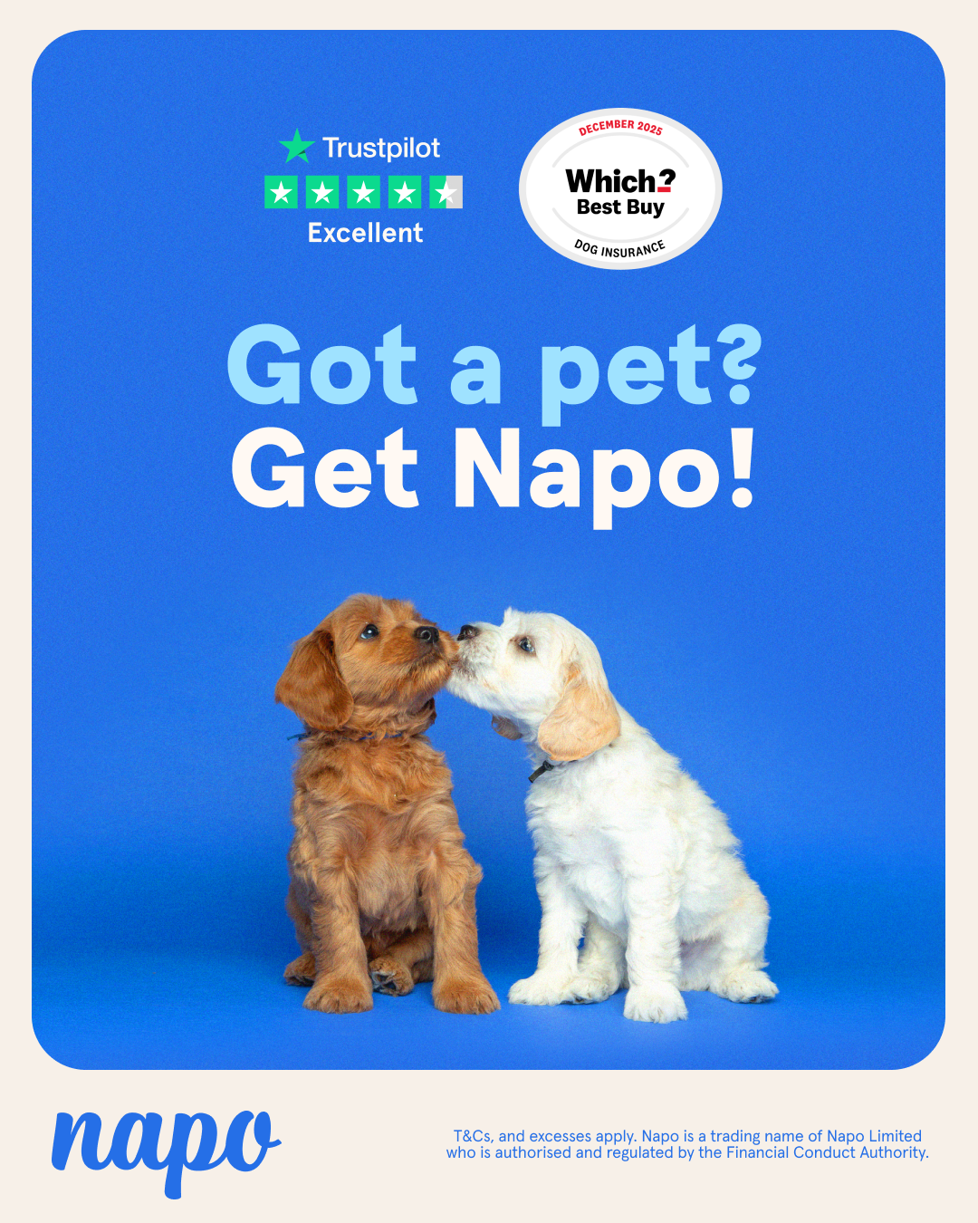 Napo Pet Insurance Facebook ad
