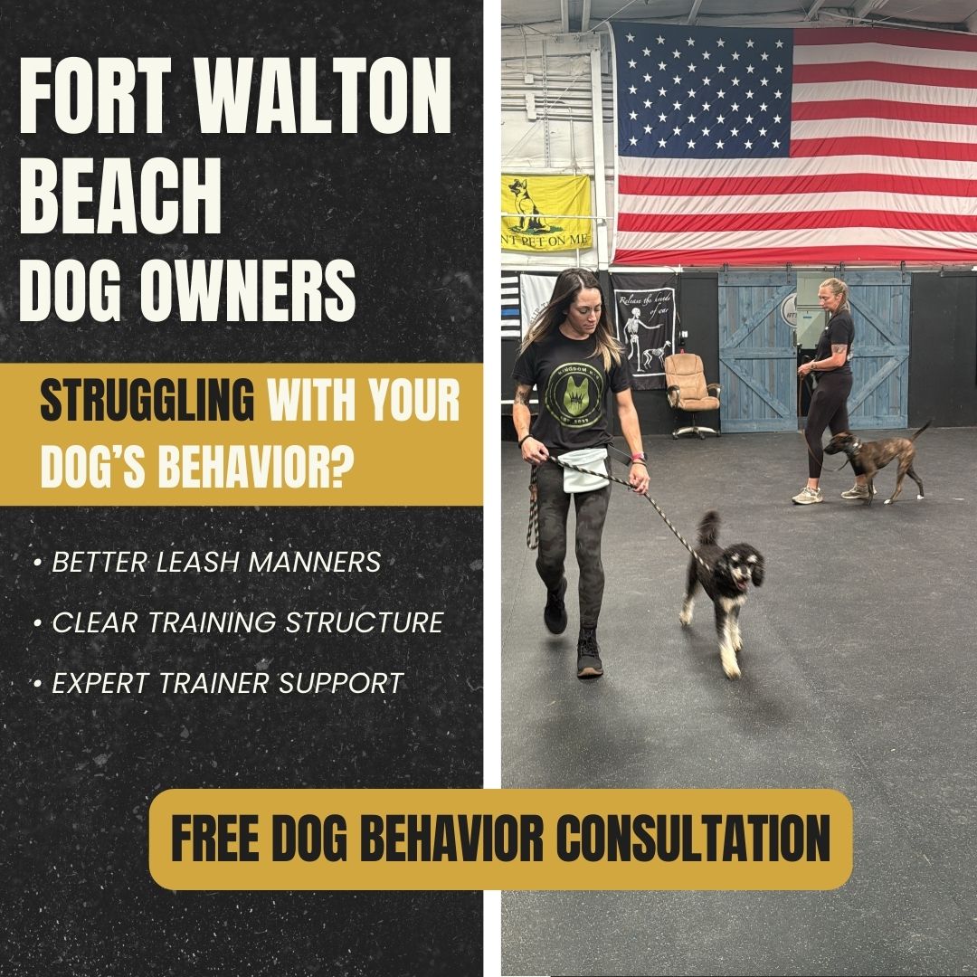 BTS K9 Dog Training Facebook ad