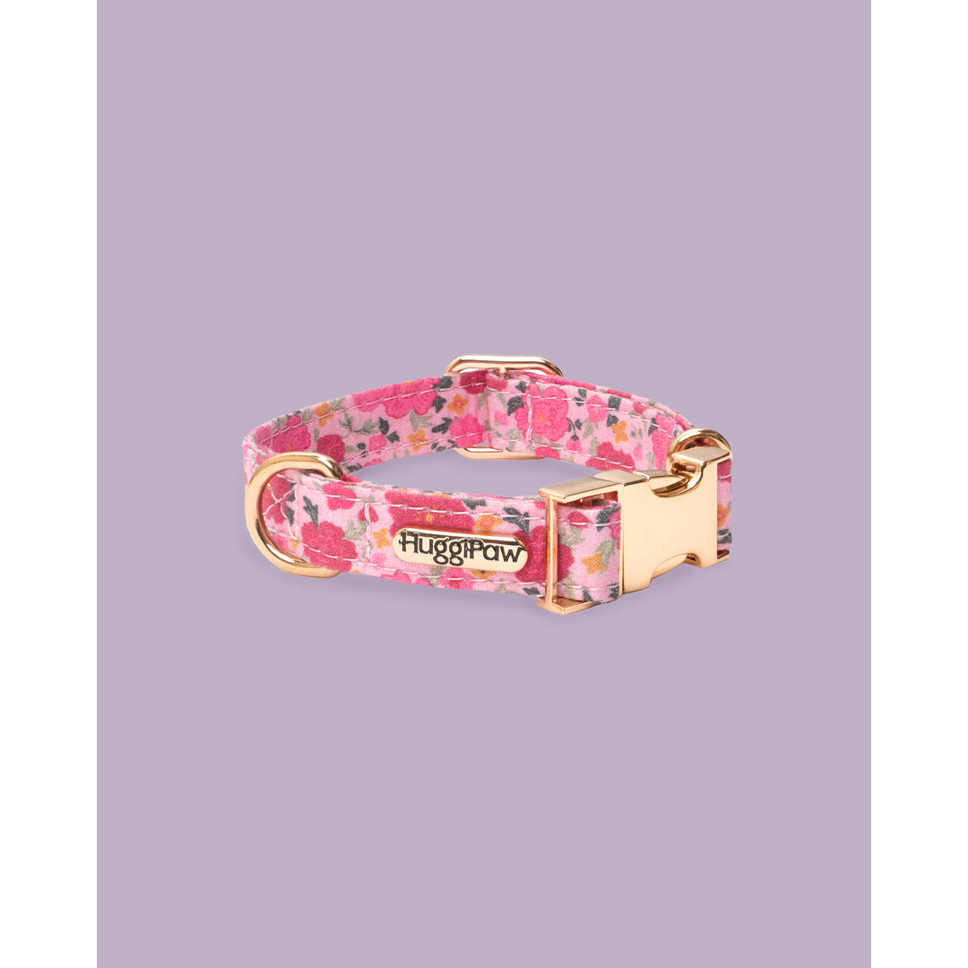 Huggipaw Facebook ad