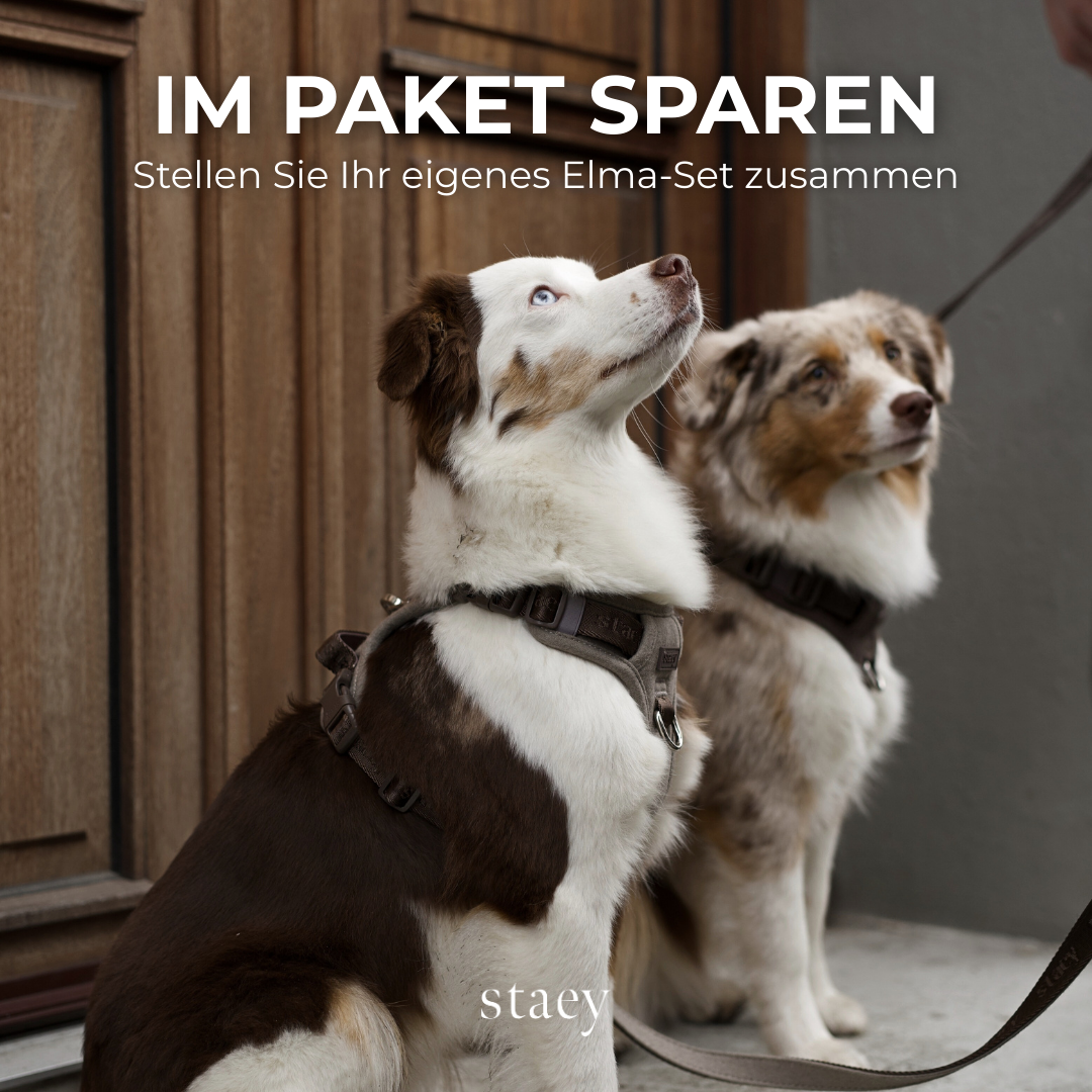Staey Facebook ad