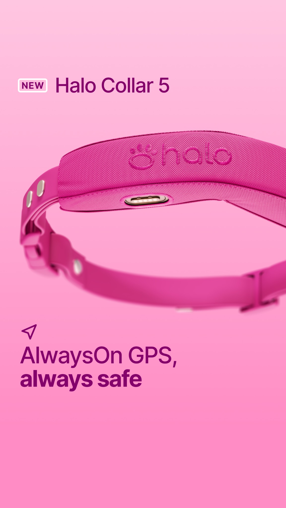 Halo Collar Facebook ad
