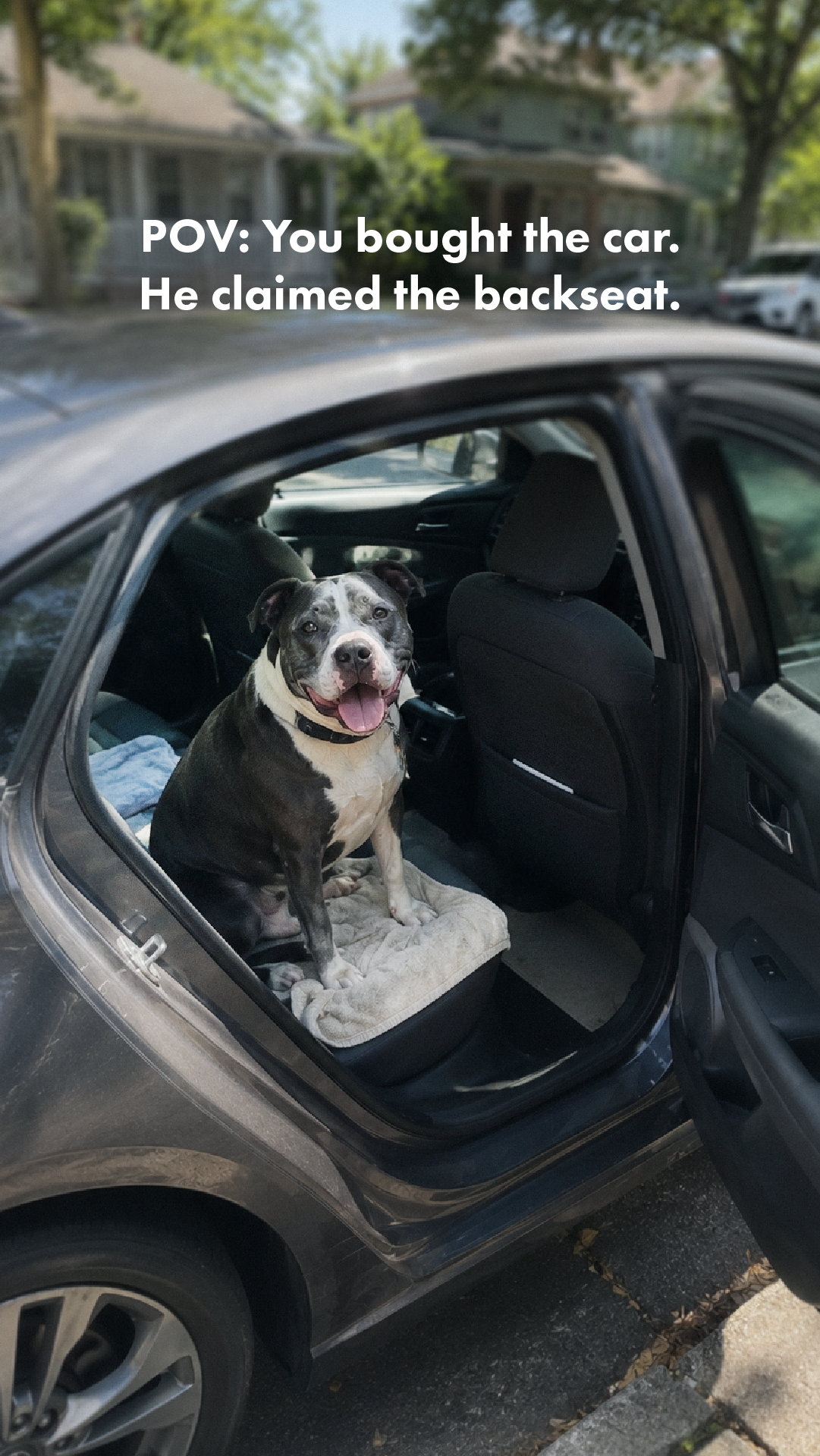 Texas Bay Credit Union Facebook ad: Auto Upgrades for Every Member of the Family