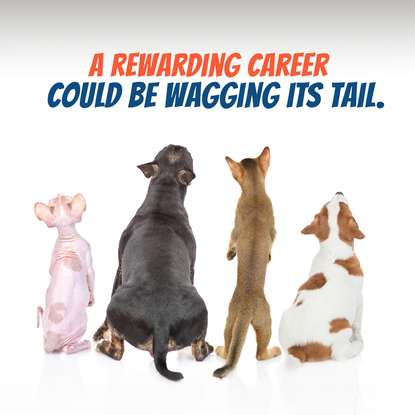 Penn Foster Facebook ad