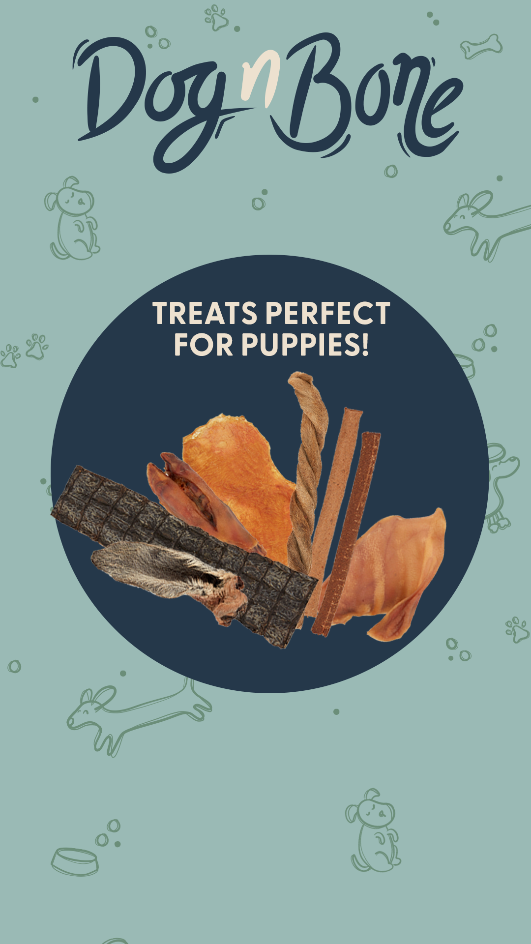 Petstock Facebook ad
