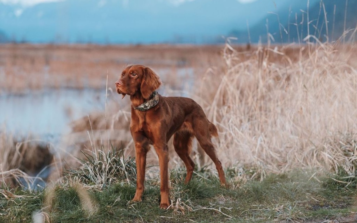 Outdoor Life Facebook ad