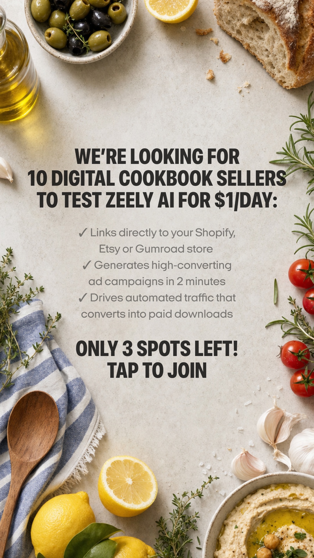 Zeely Facebook ad