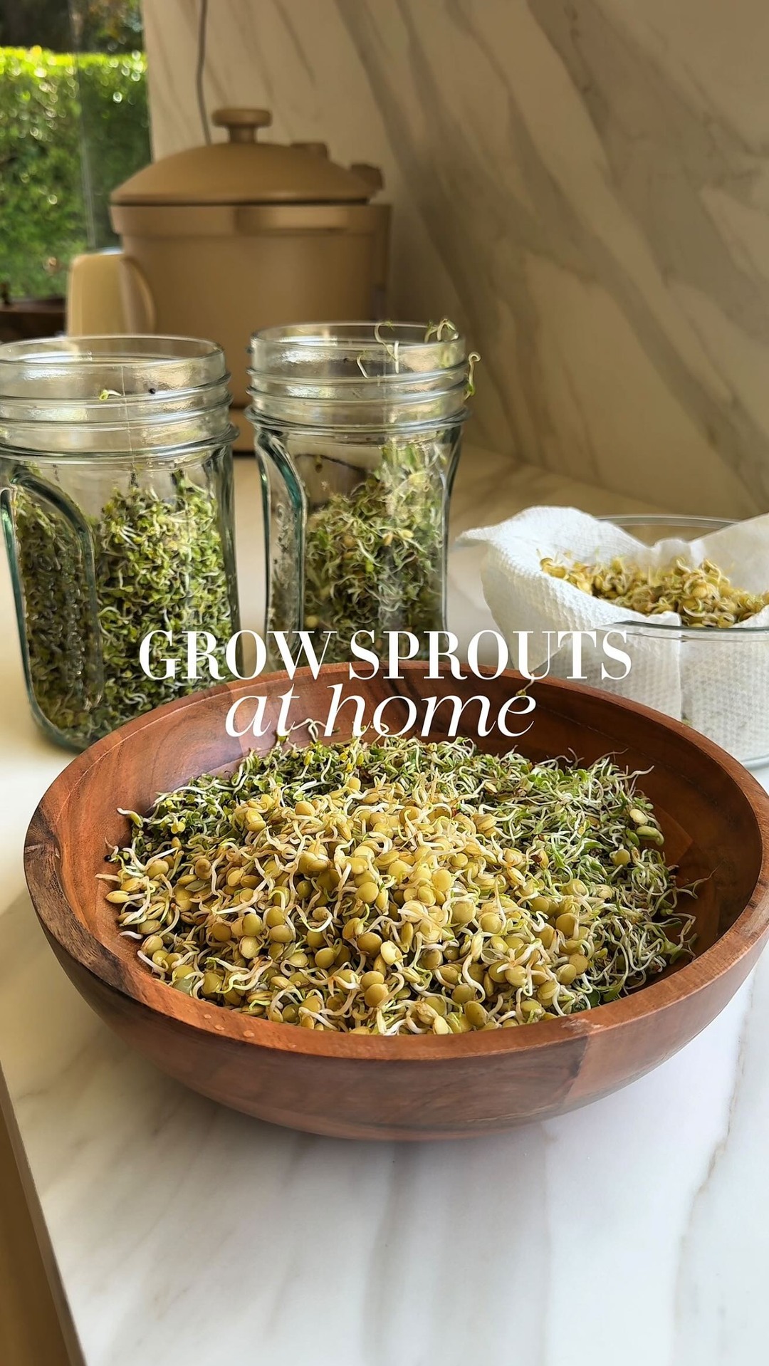 HealthyGirl Kitchen Facebook ad: Did you know you can grow these at…