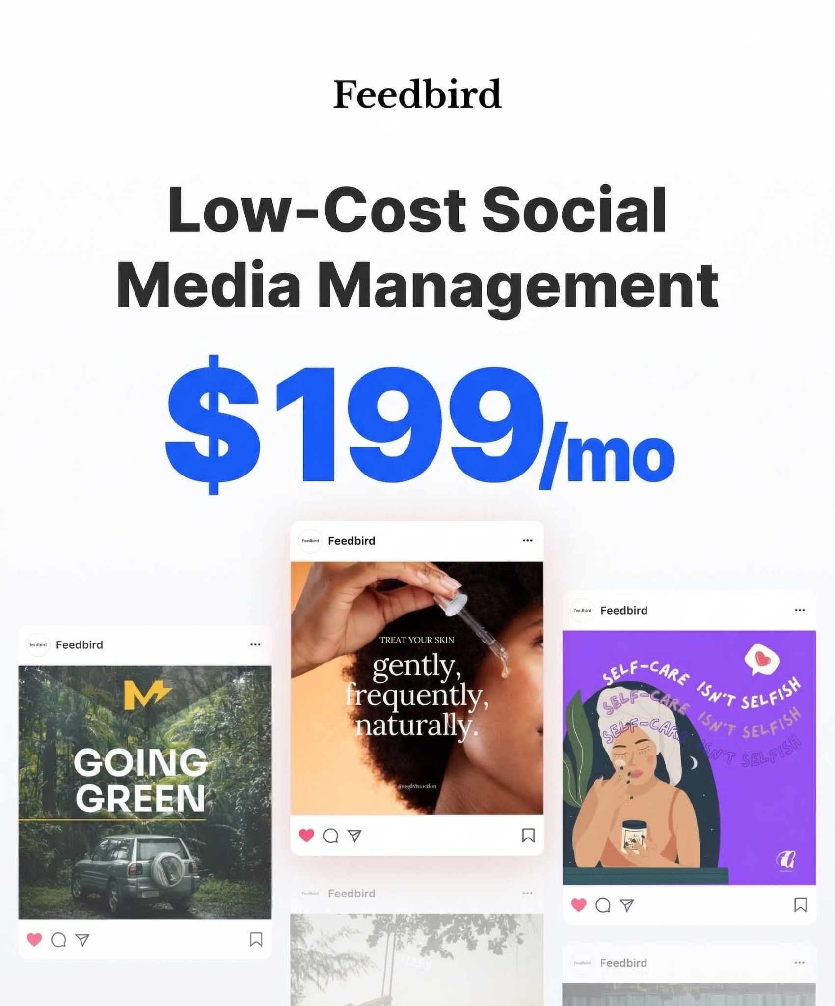 Feedbird Facebook ad