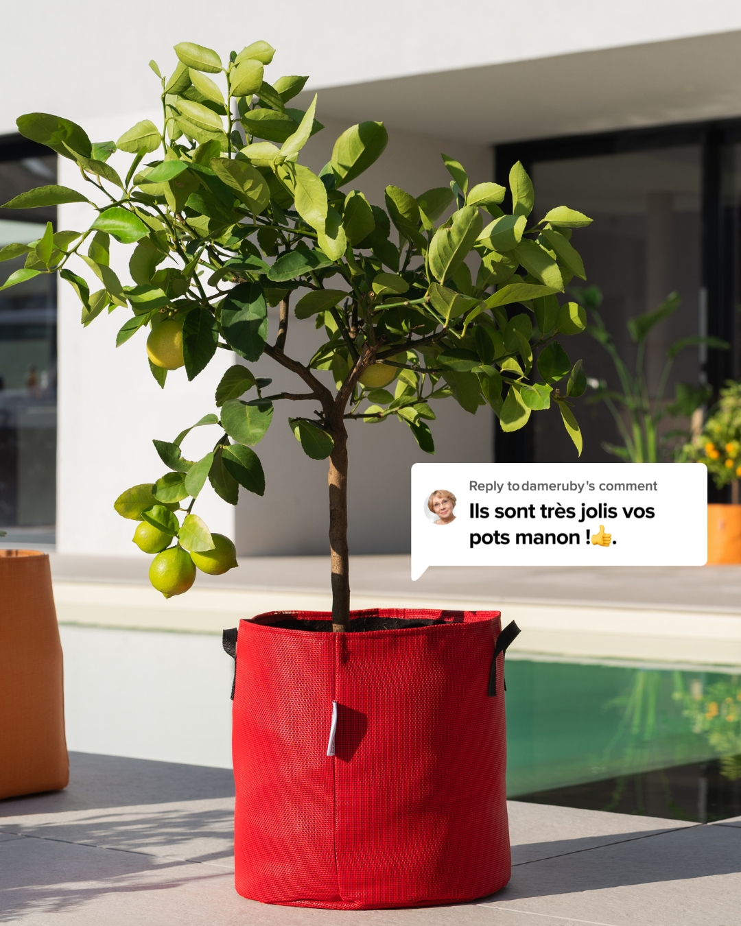 Jardinerie Bourgeon Facebook ad: Pots respirants