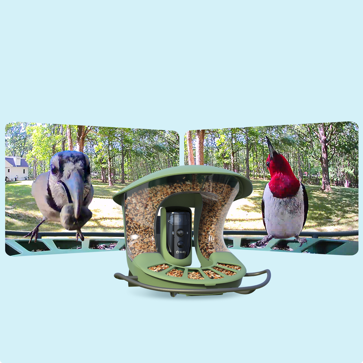 Birdfy by Netvue Facebook ad: Birdfy Feeder 2 Pro - First-Ever Dual-Lens Smart Bird…