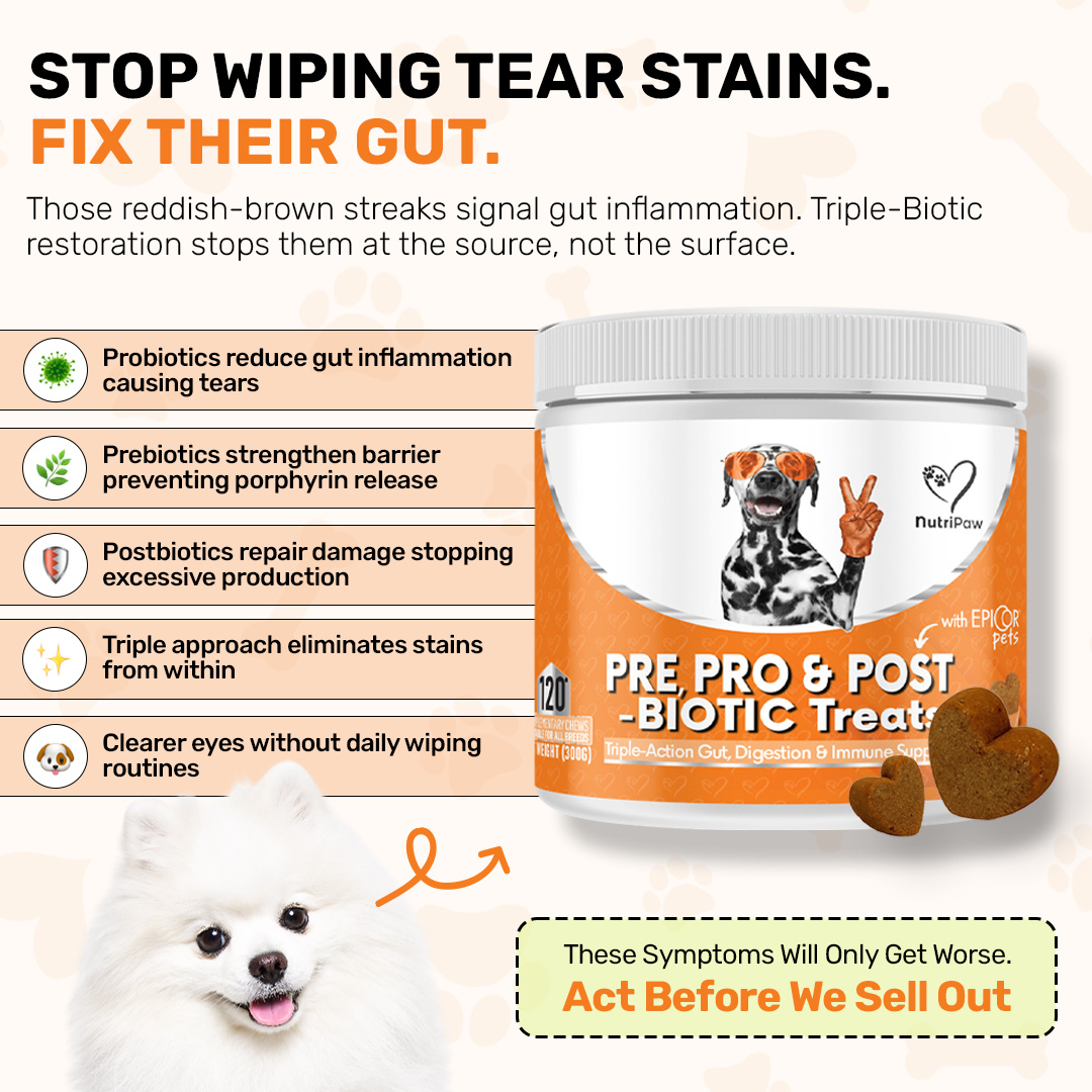 Healthy Dog 24/7 Facebook ad