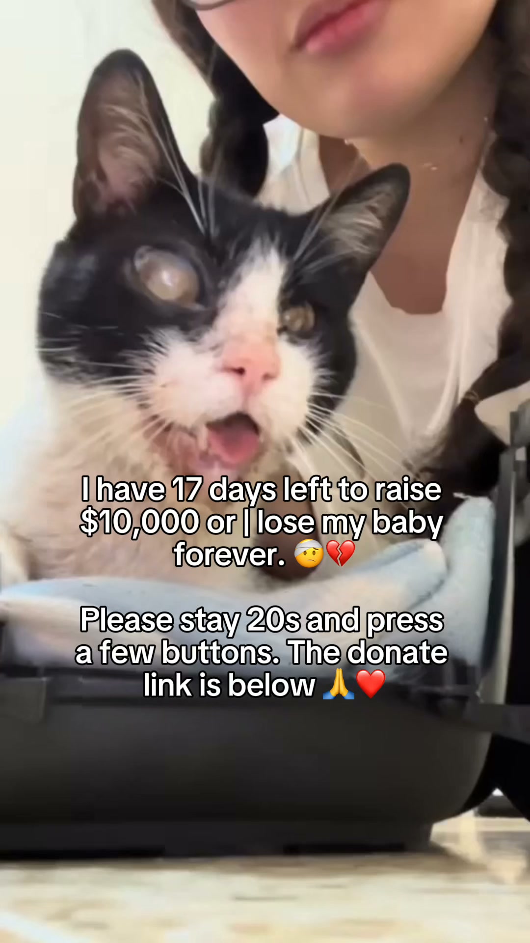 Anna Nevarez Facebook ad: Help Domino Heal