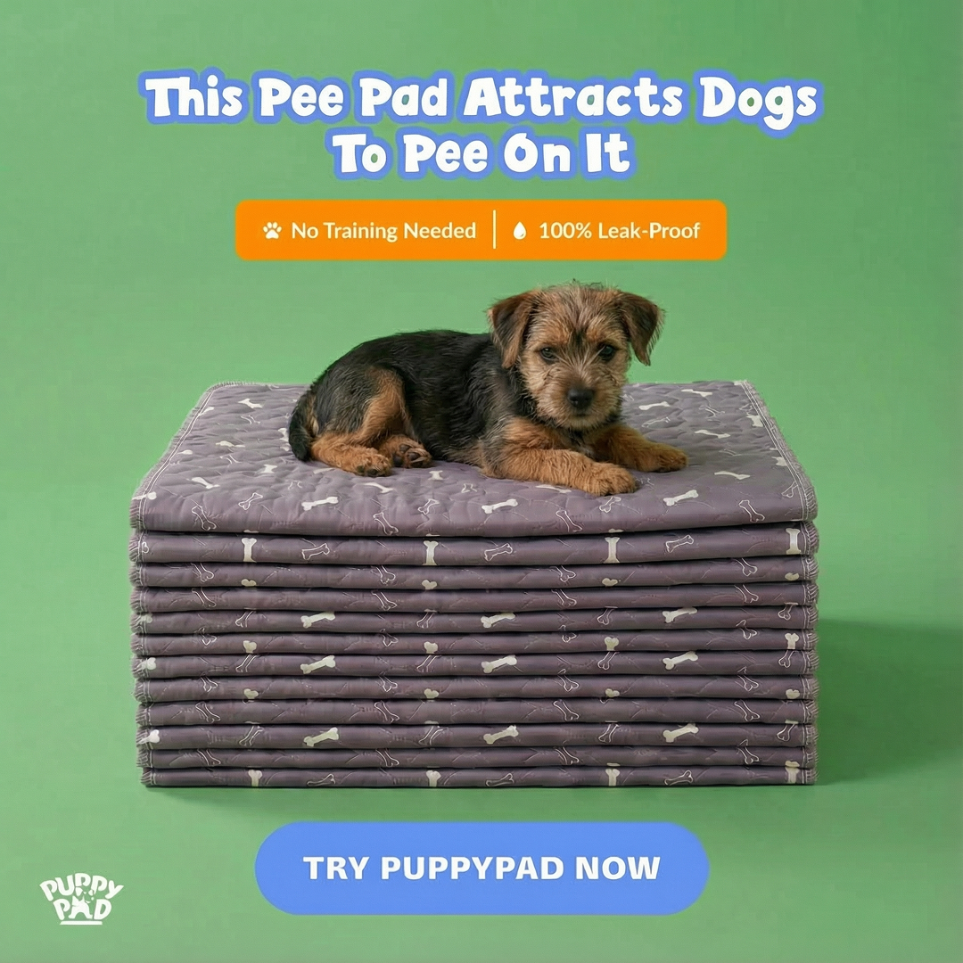 PuppyPad Facebook ad