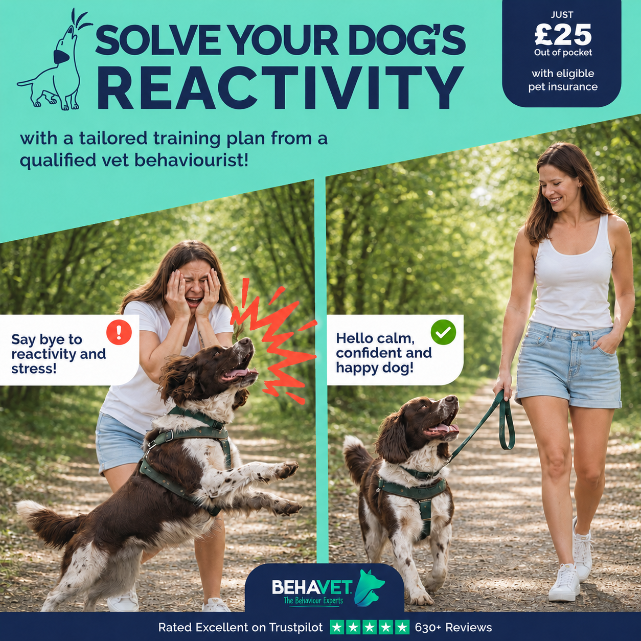Behavet: The Pet Behaviour Experts Facebook ad